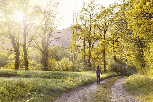 sunrise symbolizing learning to begin again and embracing life’s new chapters